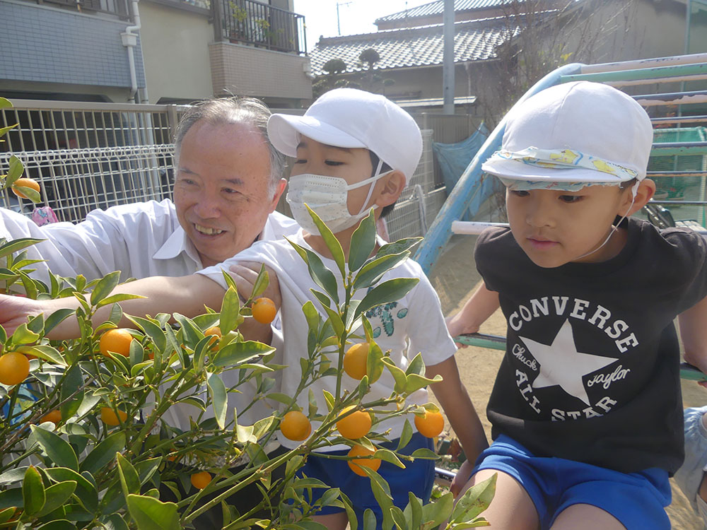 しらゆき保育園の自然と緑